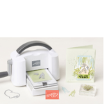 Sparen und aufblühen mit der Mini Stanzmaschine von Stampin Up